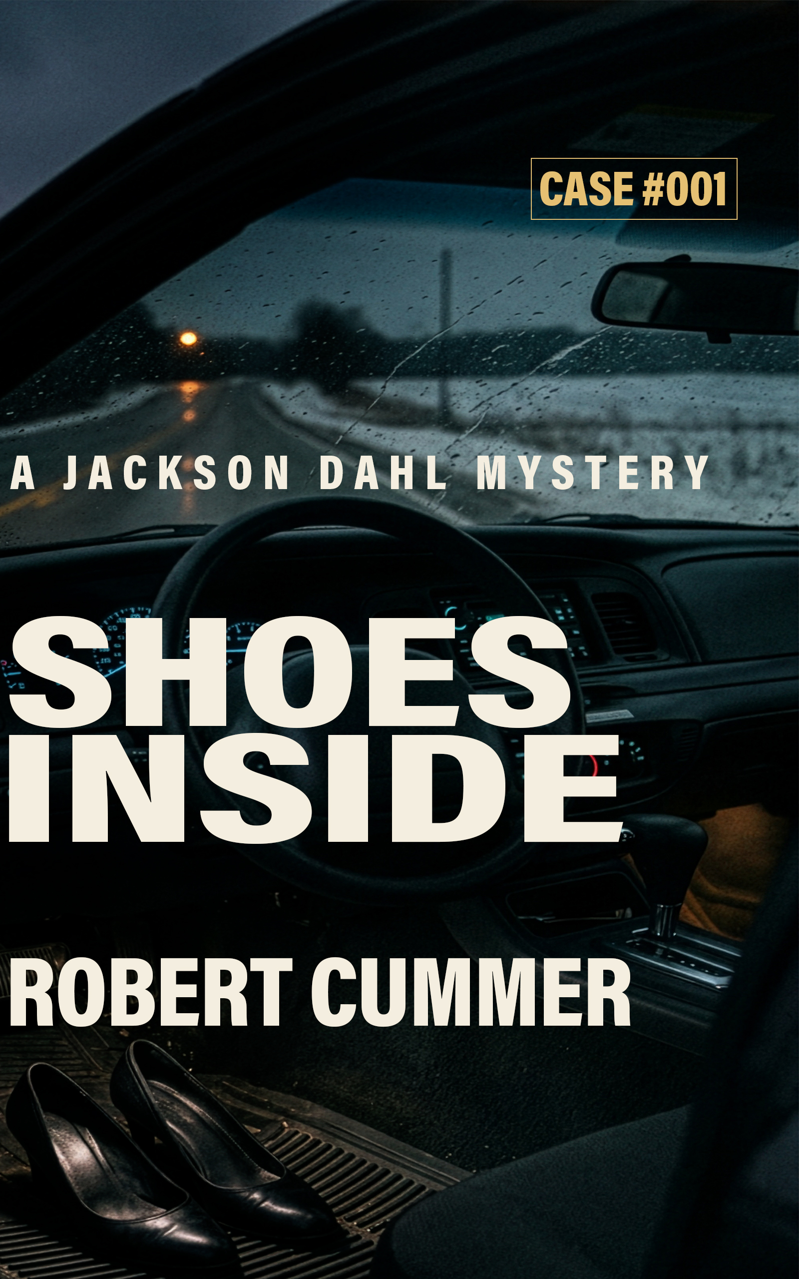 Shoes Inside book cover